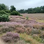 Lägenhet Im Herzen Halterns Haltern am See