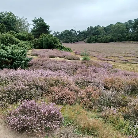 Apartment Im Herzen Halterns Haltern