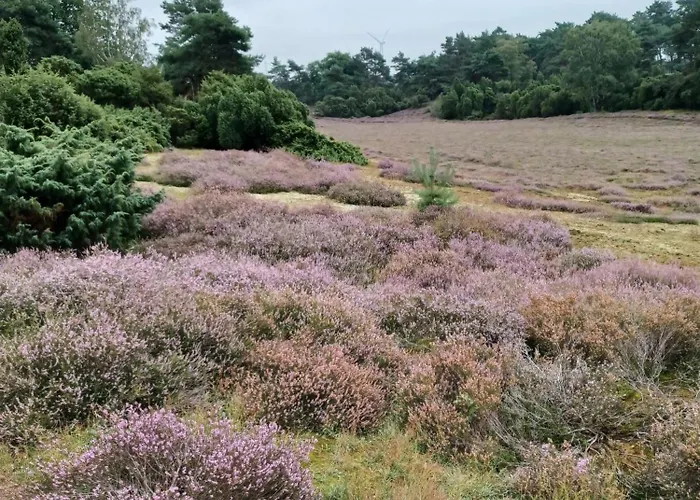 شقة Im Herzen Halterns هالترن